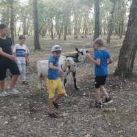 Дети и козы :: Андрей Хлопонин