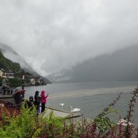 Озеро Гальштатзее в Австрийских Альпах....дождливо.. :: Galina Dzubina