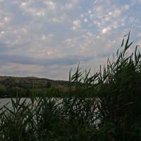Вечер на озере. :: Александр 
