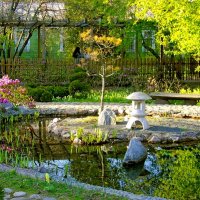 Японский садик в Ботаническом саду СПб. :: Лия ☼