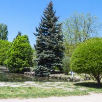 Весенний пейзаж ботанического сада,Симферополь :: Валентин Семчишин