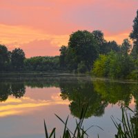 Закат над прудом. :: Александра Климина