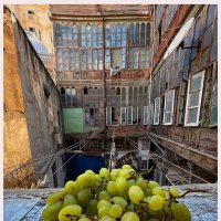 виноград в старом городе :: Эмиль Иманов