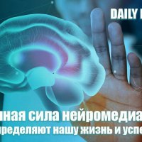 Загадочная сила нейромедиаторов: Как они определяют нашу жизнь и успех :: Виктор  /  Victor Соболенко  /  Sobolenko
