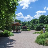 Лето в ботаническом саду :: Валентин Семчишин