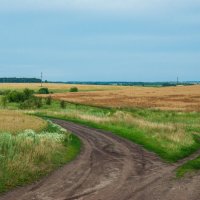 Поле :: Дмитрий Ряховский