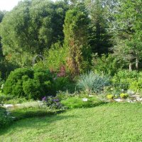 Мемориальный ботанический сад Демидова :: Виктор Мухин