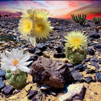 Пустыня настоящая, кактусы мои, животные ИИ :: Александр Деревяшкин