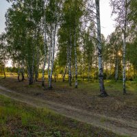 Дорожка в осень. :: Сергей Татаринов