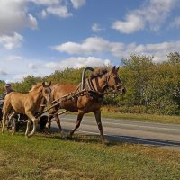 Хорошо идем :: Олег Денисов