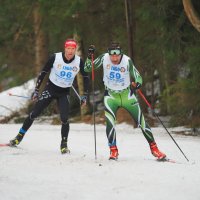 Лыжники :: Евгений Седов