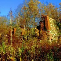 Руины замка :: Сергей Карачин