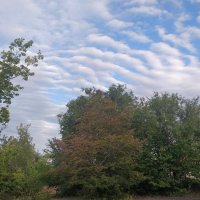 Перистые облака сентября :: Андрей Хлопонин