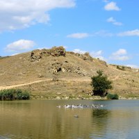 Сельский водоем. :: Александр 