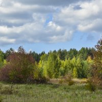 Полянка. :: Наталья 