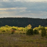 Шаловливый свет сентября :: Роман Пацкевич