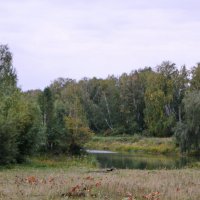 Осень и местная речка Ачаирка. :: сергей 