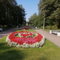 В Парке Осенью :: Митя Дмитрий Митя