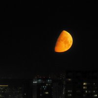 Уходящая за горизонт Луна. :: Евгений Седов