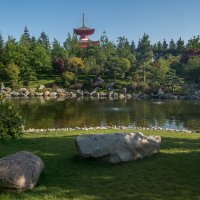 Камни Японского сада :: Владимир Жуков
