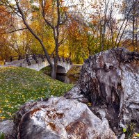 В осеннем парке :: Евгений 