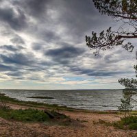 Финский залив :: Laryan1 