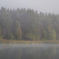 рыбалка в тумане :: Алексей Жариков