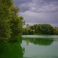 Сельский пруд... (2) :: Влад Никишин