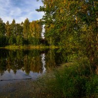 Теплая Подмосковная Осень # III :: Андрей Дворников