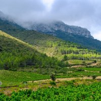 Пейзаж Катарской земли (3) :: Георгий А