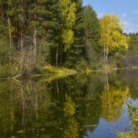 Прогулка вдоль реки. :: Наталья 