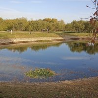 В парке Коломенское :: Татьяна Тюменка