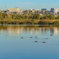 Утром в сентябре.. :: Юрий Стародубцев