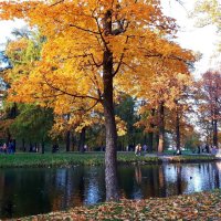 Золотая осень в Александровском парке. :: Ольга 