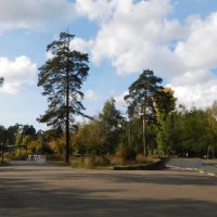 Осень в парке Урицкого :: Наиля 