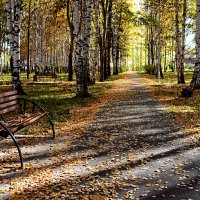 осень в парке :: Александр 