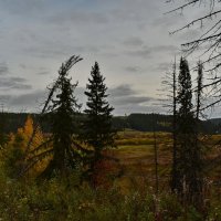 Долина Сылвы :: Роман Пацкевич