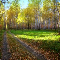 Осень в лесу... :: Нэля Лысенко