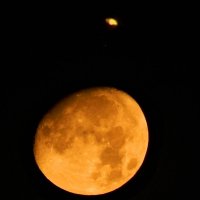 Луна под Сатурном :: Alisa Koteva 