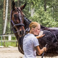 Купание вороного коня :: SanSan 