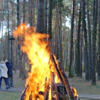 Стихия здесь под контролем :: Светлана Былинович