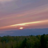 закат над лесом :: Владимир 