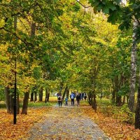 Ходит осень в нашем парке :: Светлана Ан