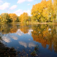 Золотое озеро :: владимир тимошенко 