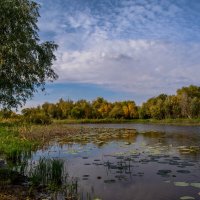 Осенний пейзаж :: Владимир Жуков