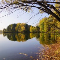 "Есть в осени первоначальной..." :: Наталия Григорьева