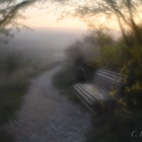 Осень, туман, одиночество... :: Сергей 