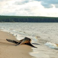 Дно озера выстилает шунгит. :: Татьяна Помогалова