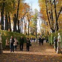 Осень в Летнем саду-2 :: Юрий Велицкий