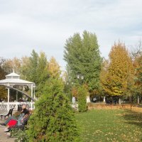 Осень в Струковском саду :: марина ковшова 